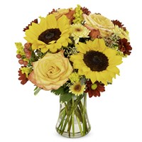 BF853-11KL-07270-1000